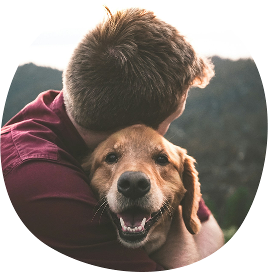 Photo d'un chien et son proprietaire